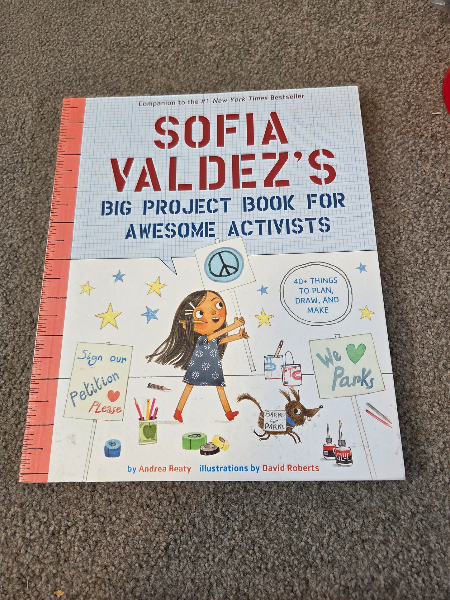 Sofia Valdez- activity book