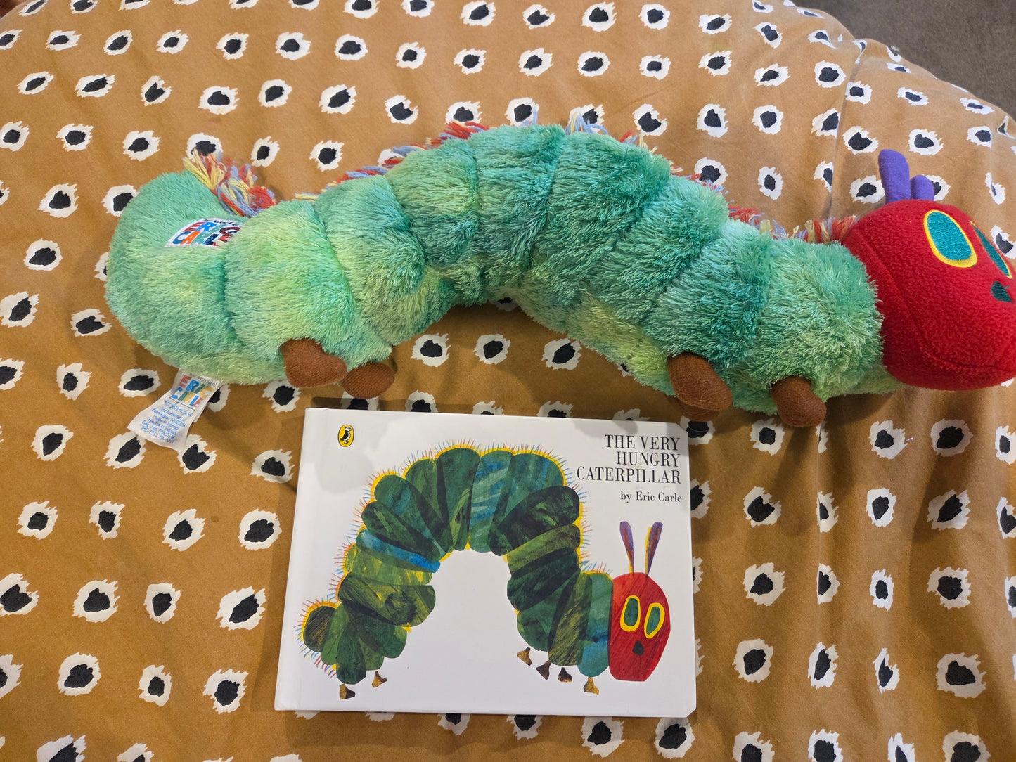Very hungry caterpillar book and toy
