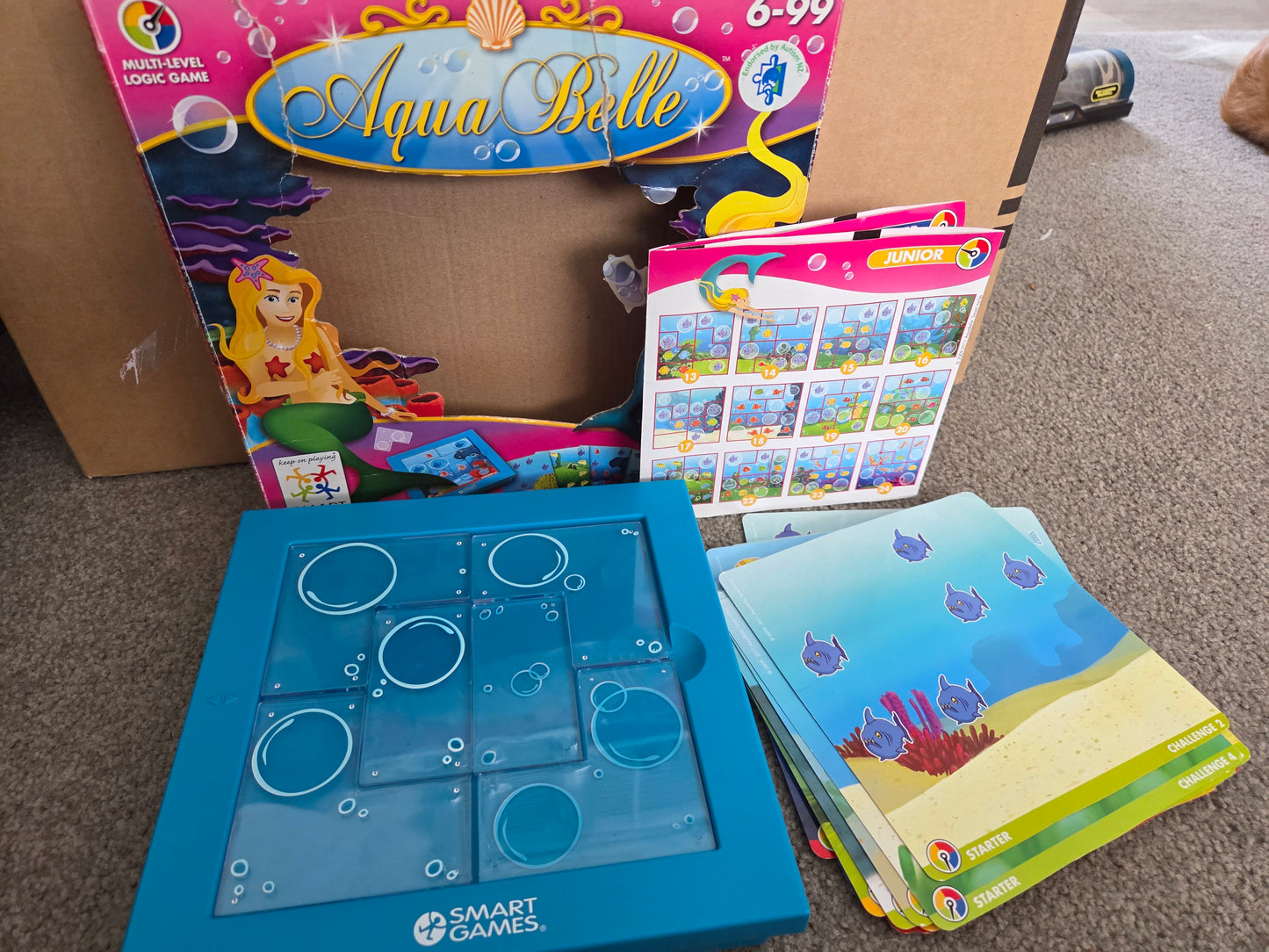 Aqua belle smart game