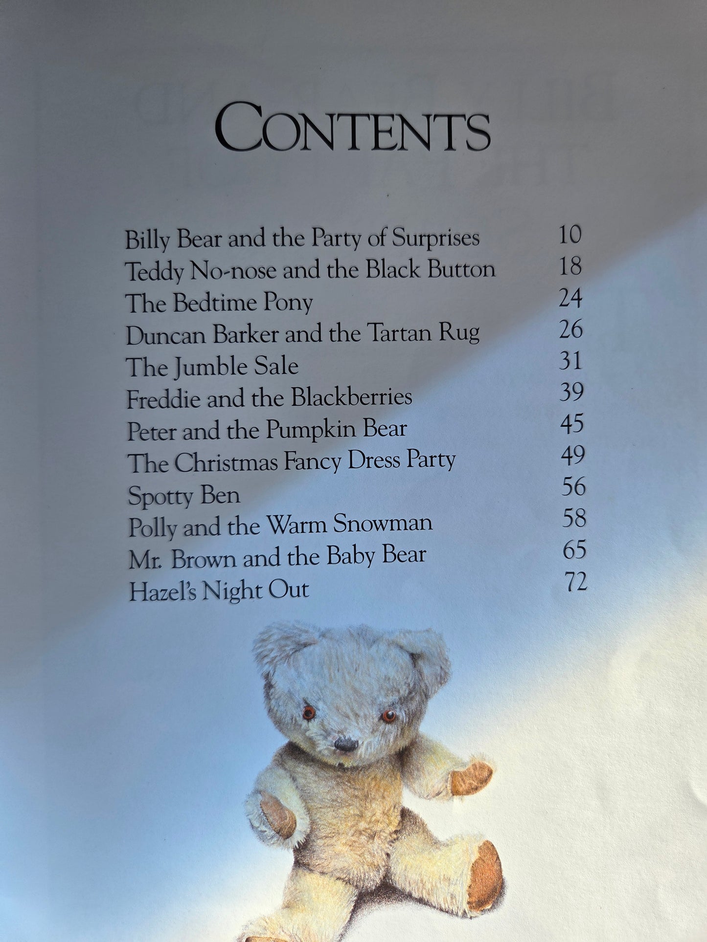 Old bear and his friends