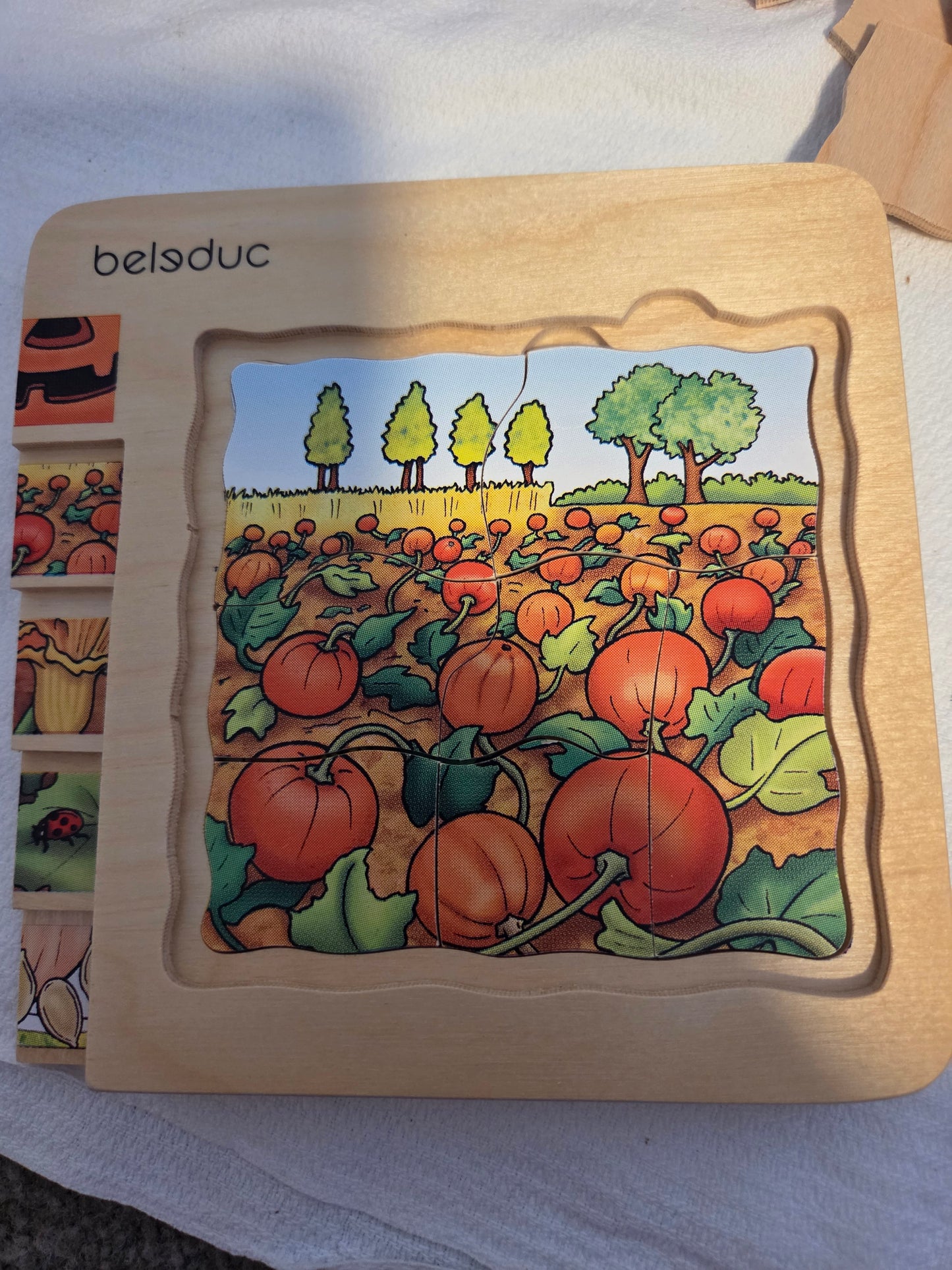 Beldeluc layer puzzle