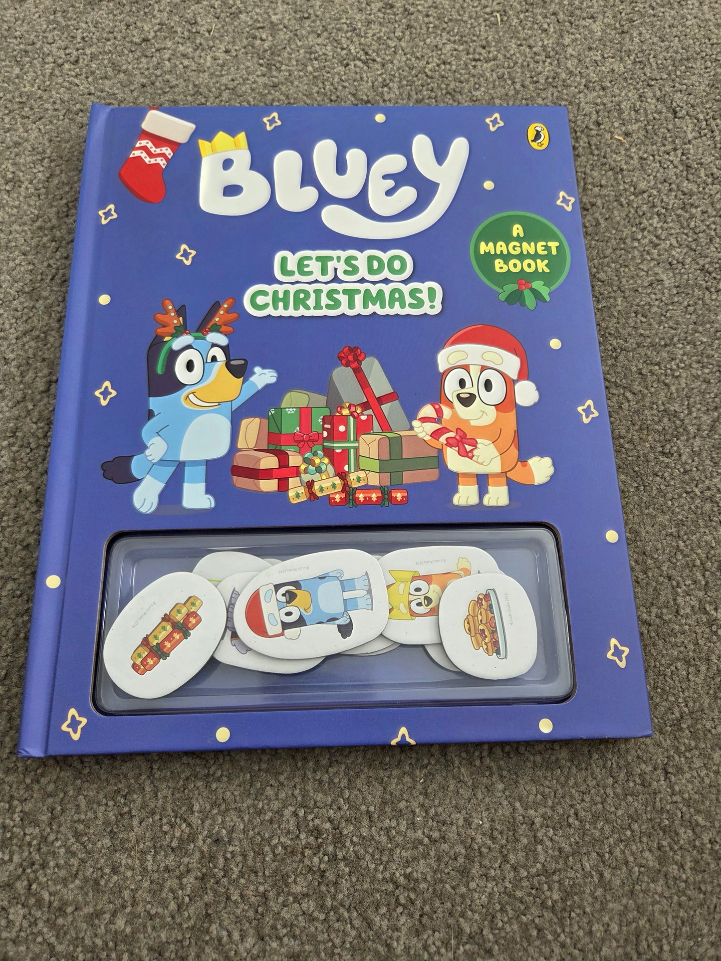 Bluey magnet book