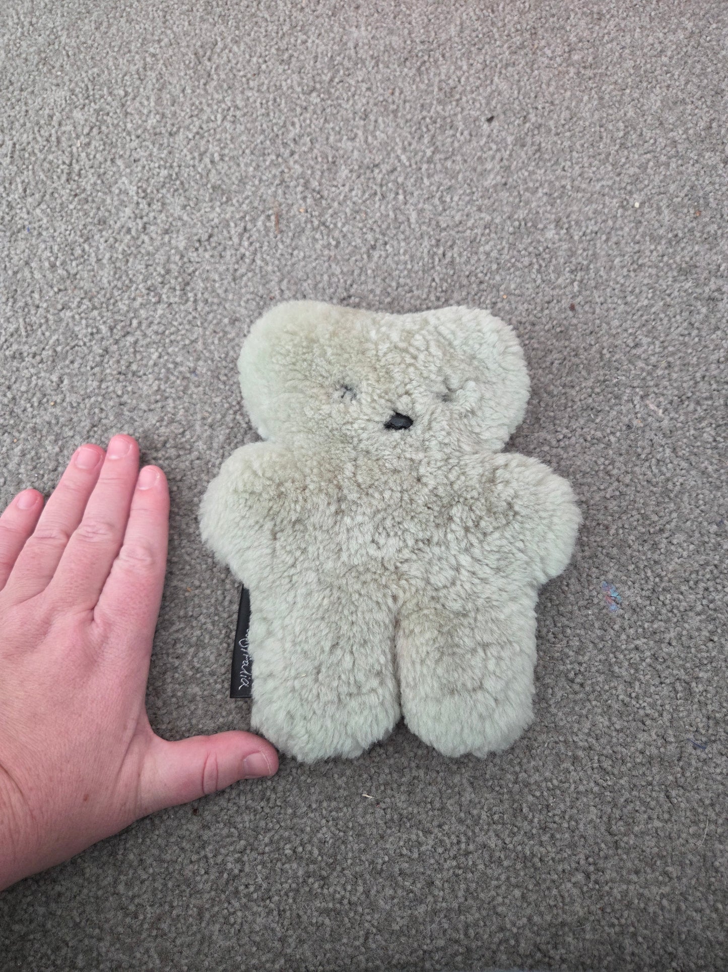 Flat out teddy