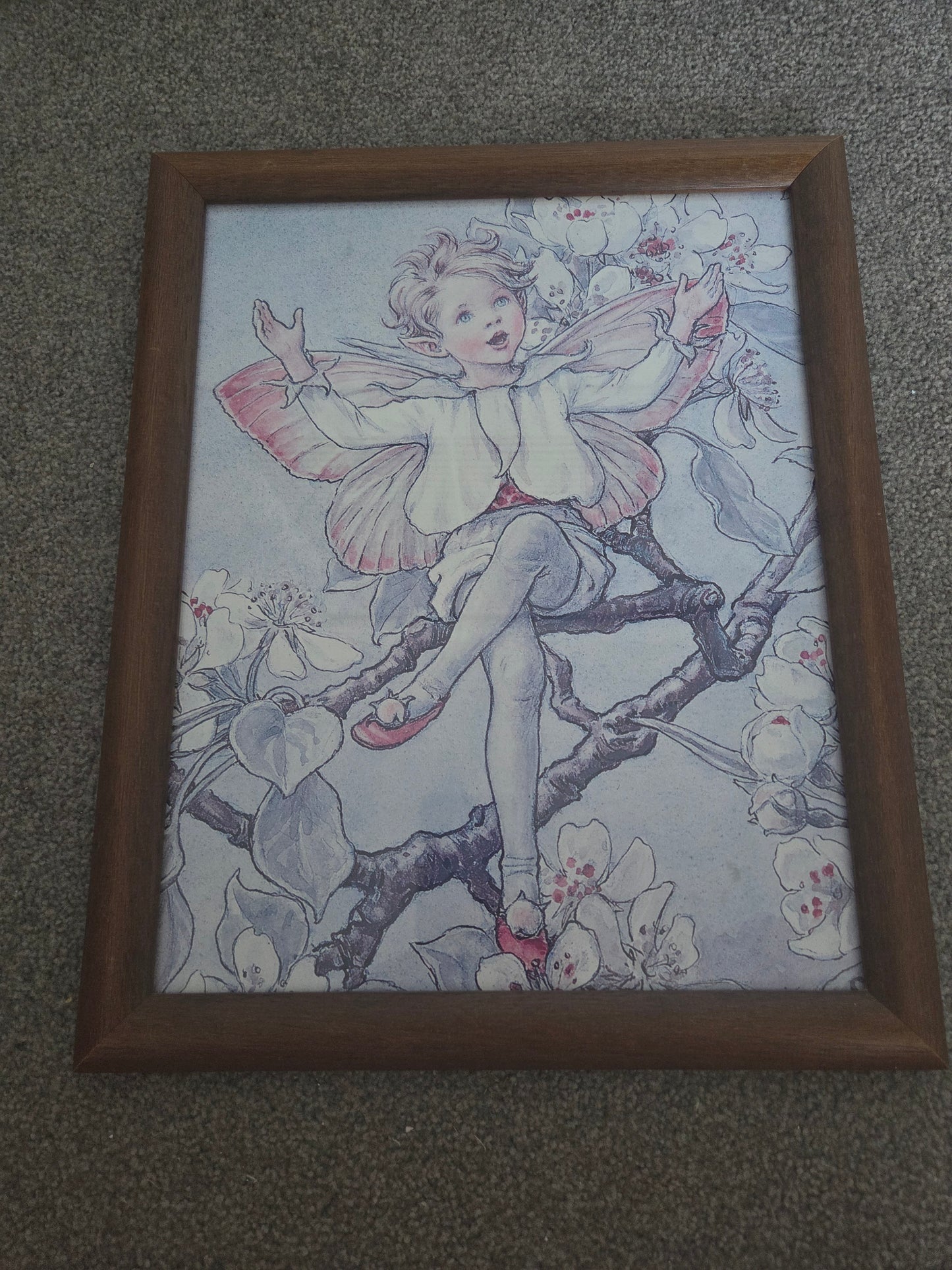 Flower fairies framed print