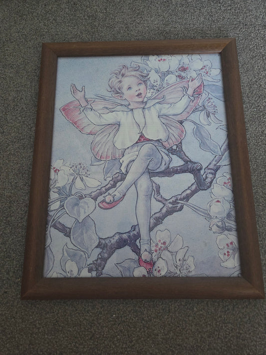Flower fairies framed print