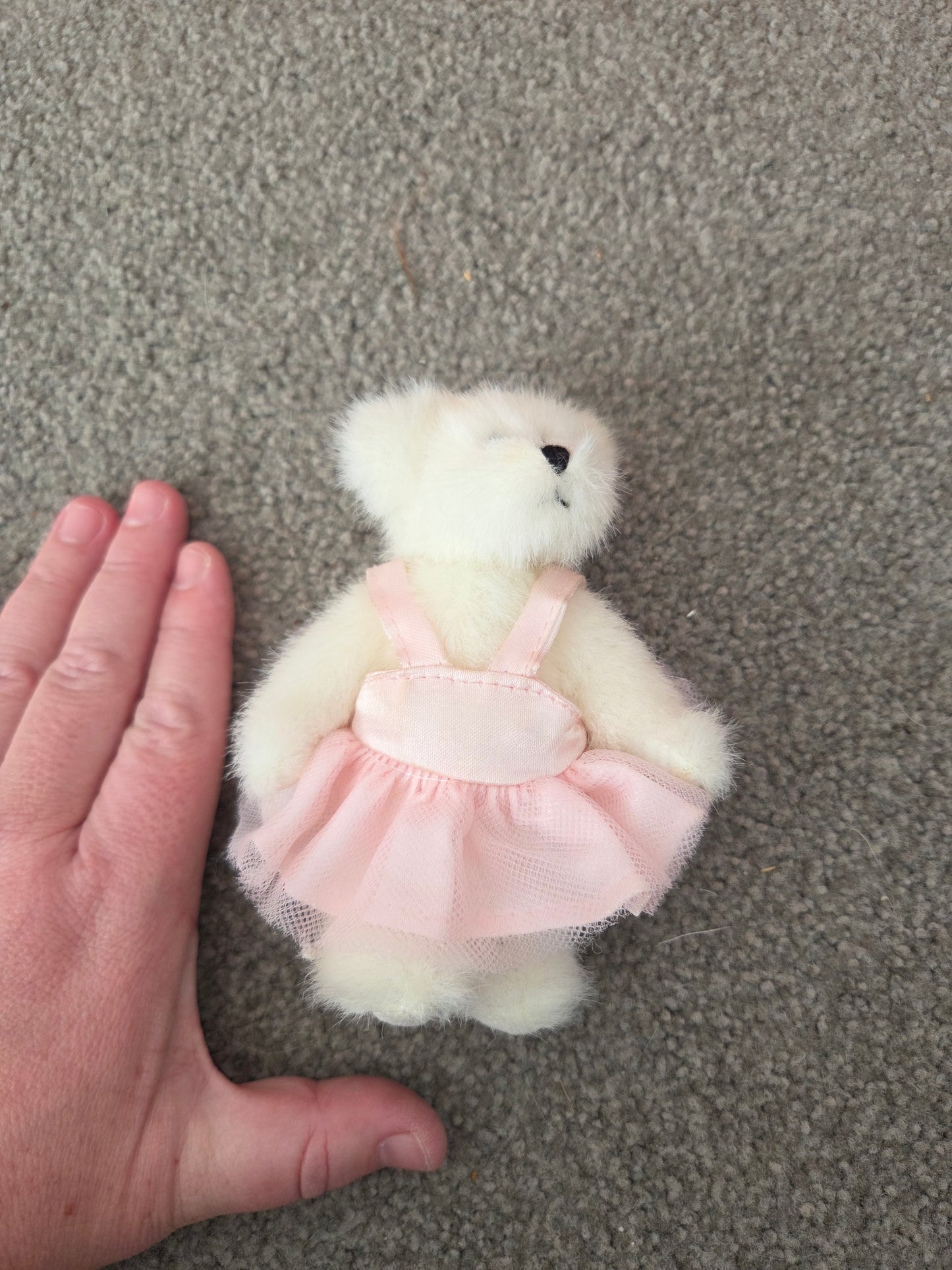 Small ballerina teddy