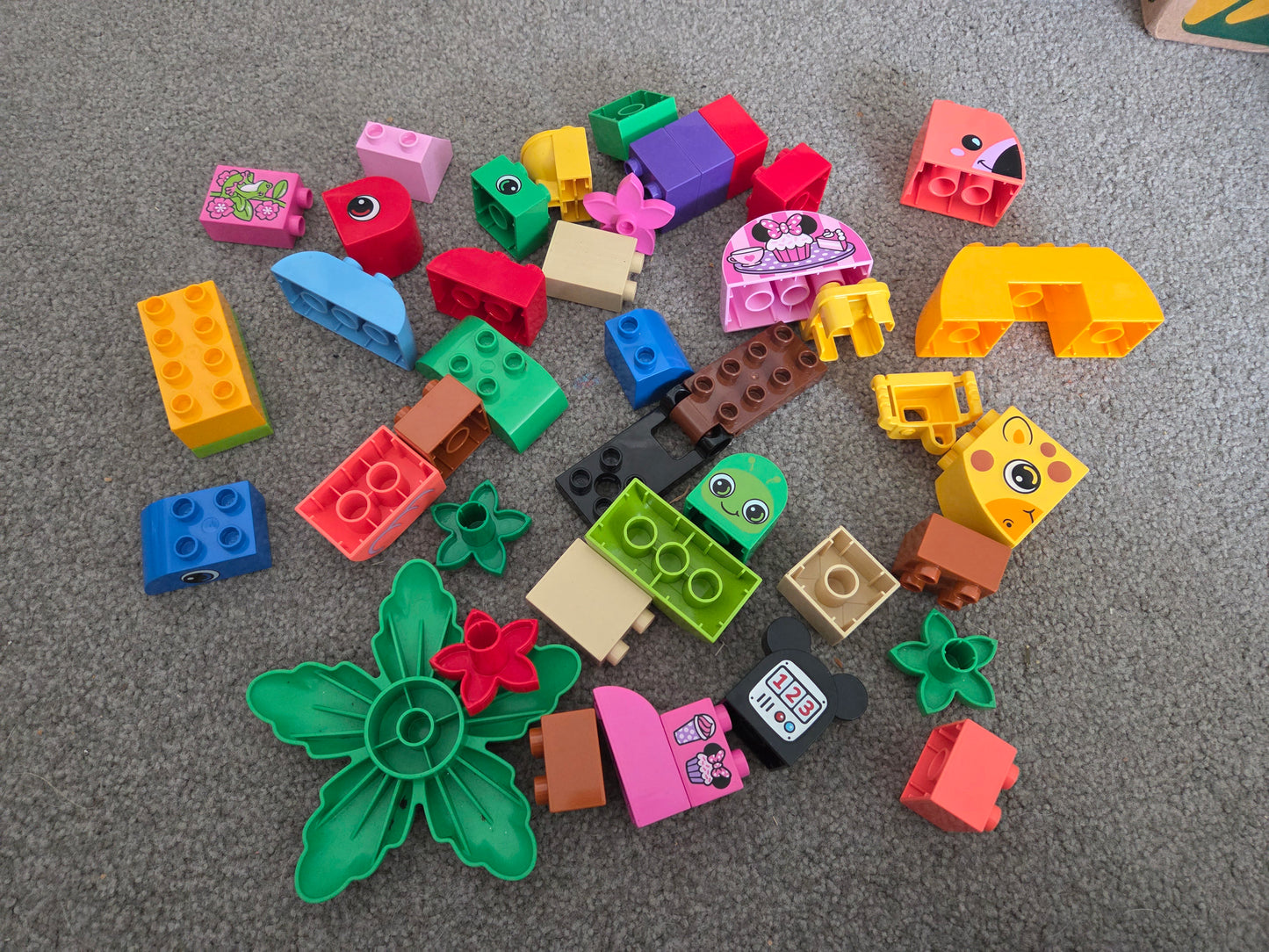 Bundle of duplo