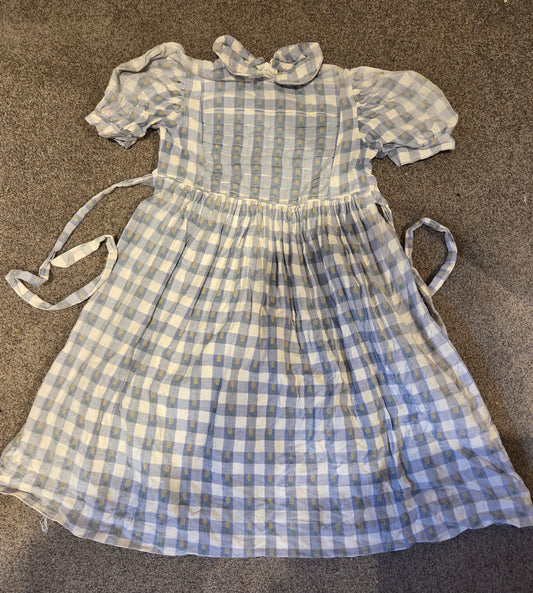 Banbury Cross Dress size 6