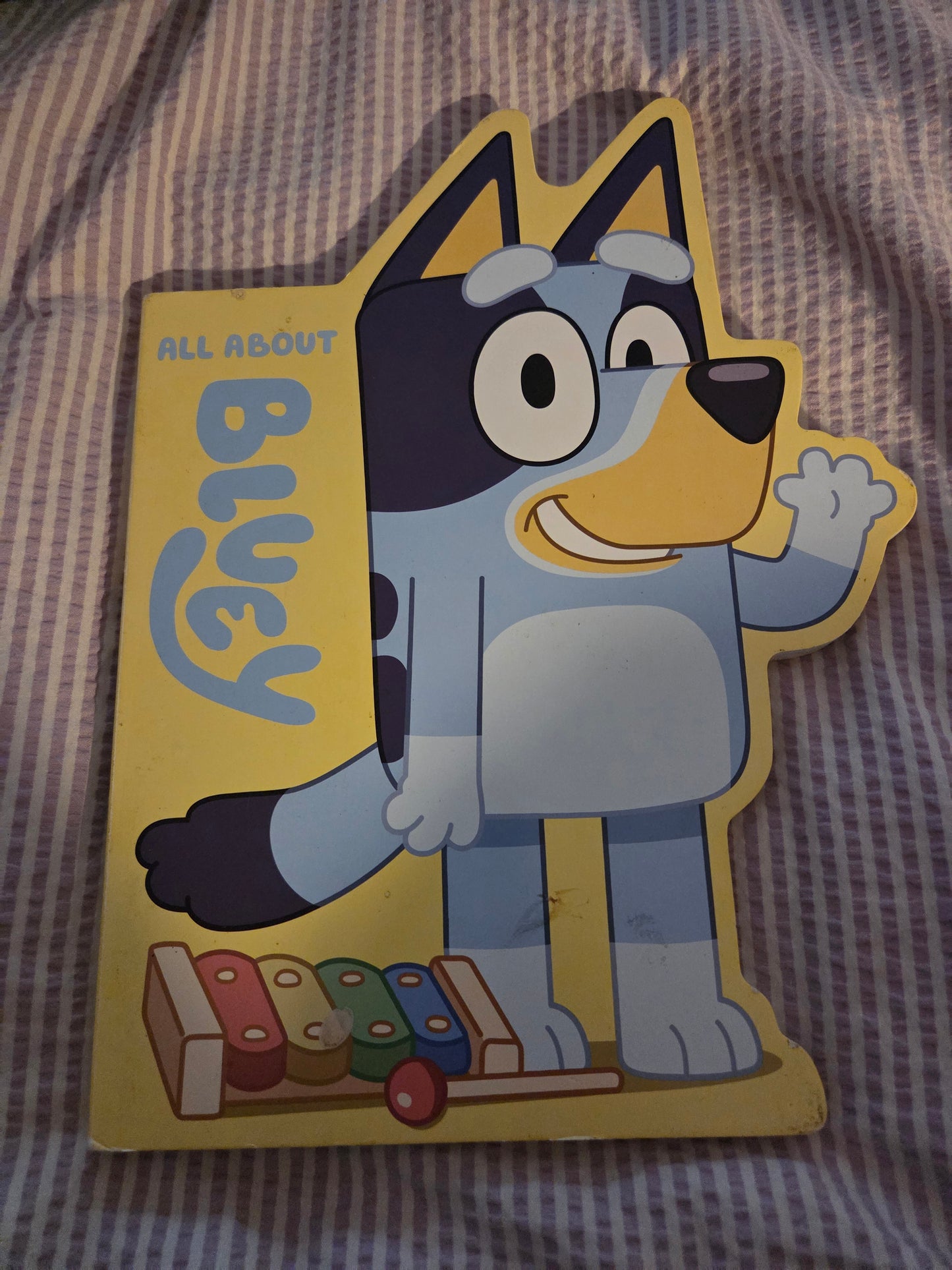 All about Bluey