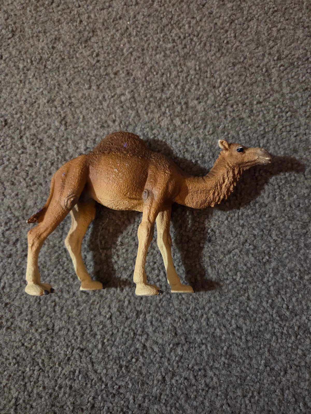 Schleich dromedary camel