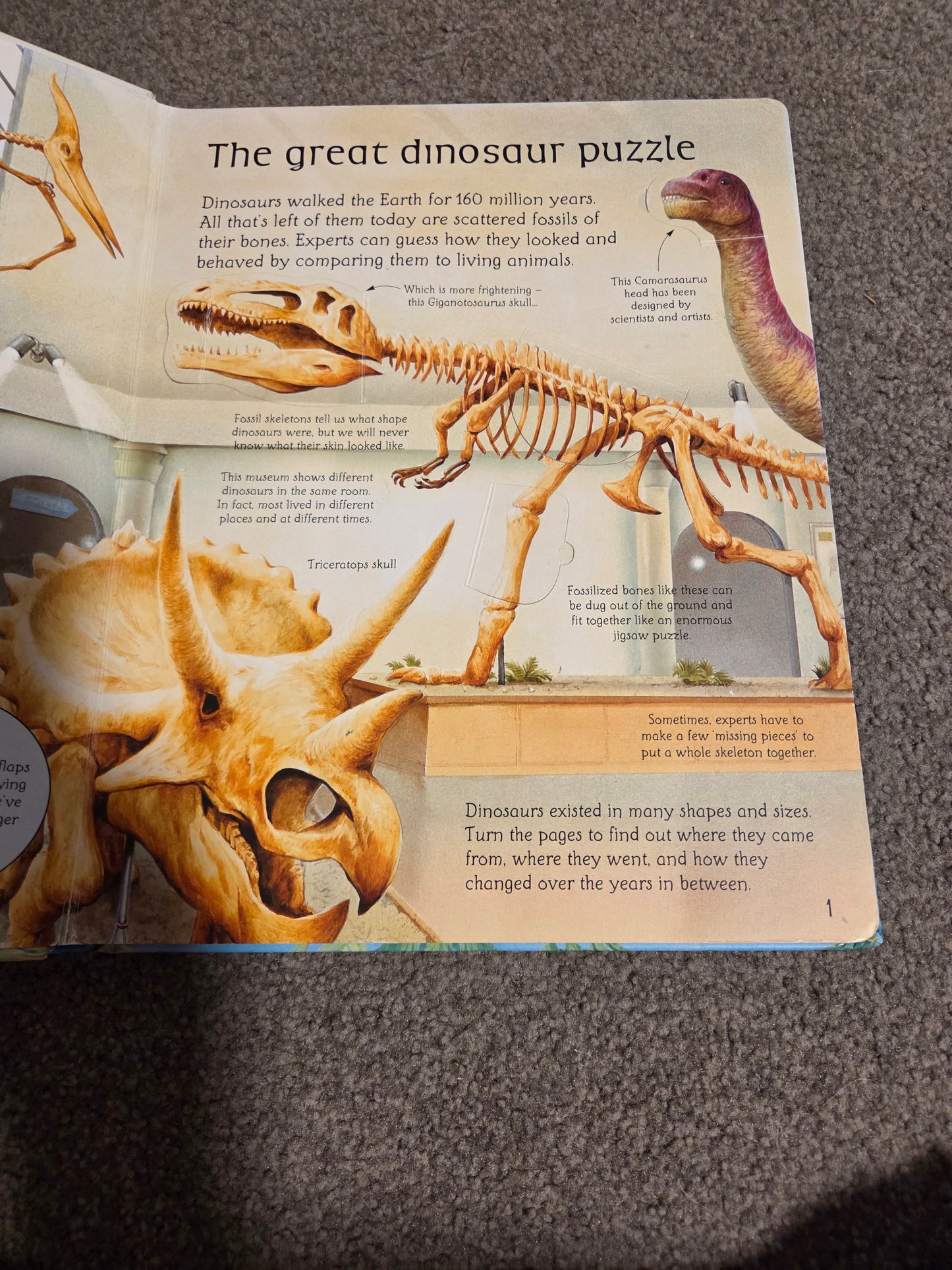 See inside dinosaurs