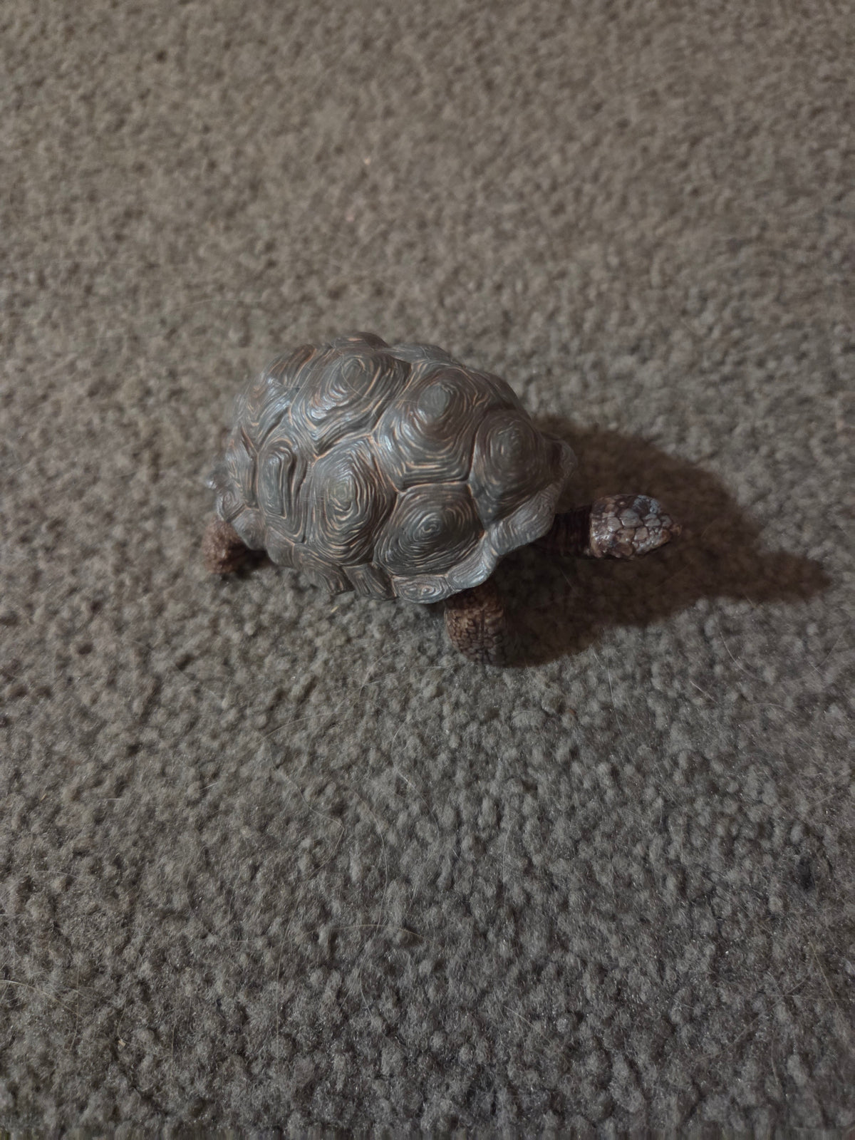 Schleich tortoise
