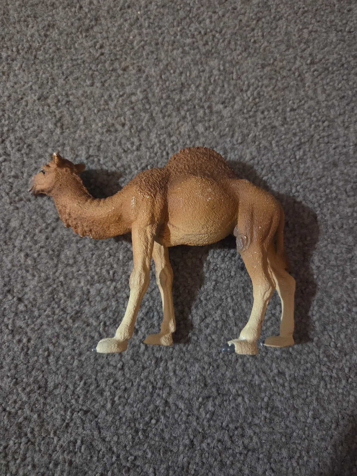 Schleich dromedary camel