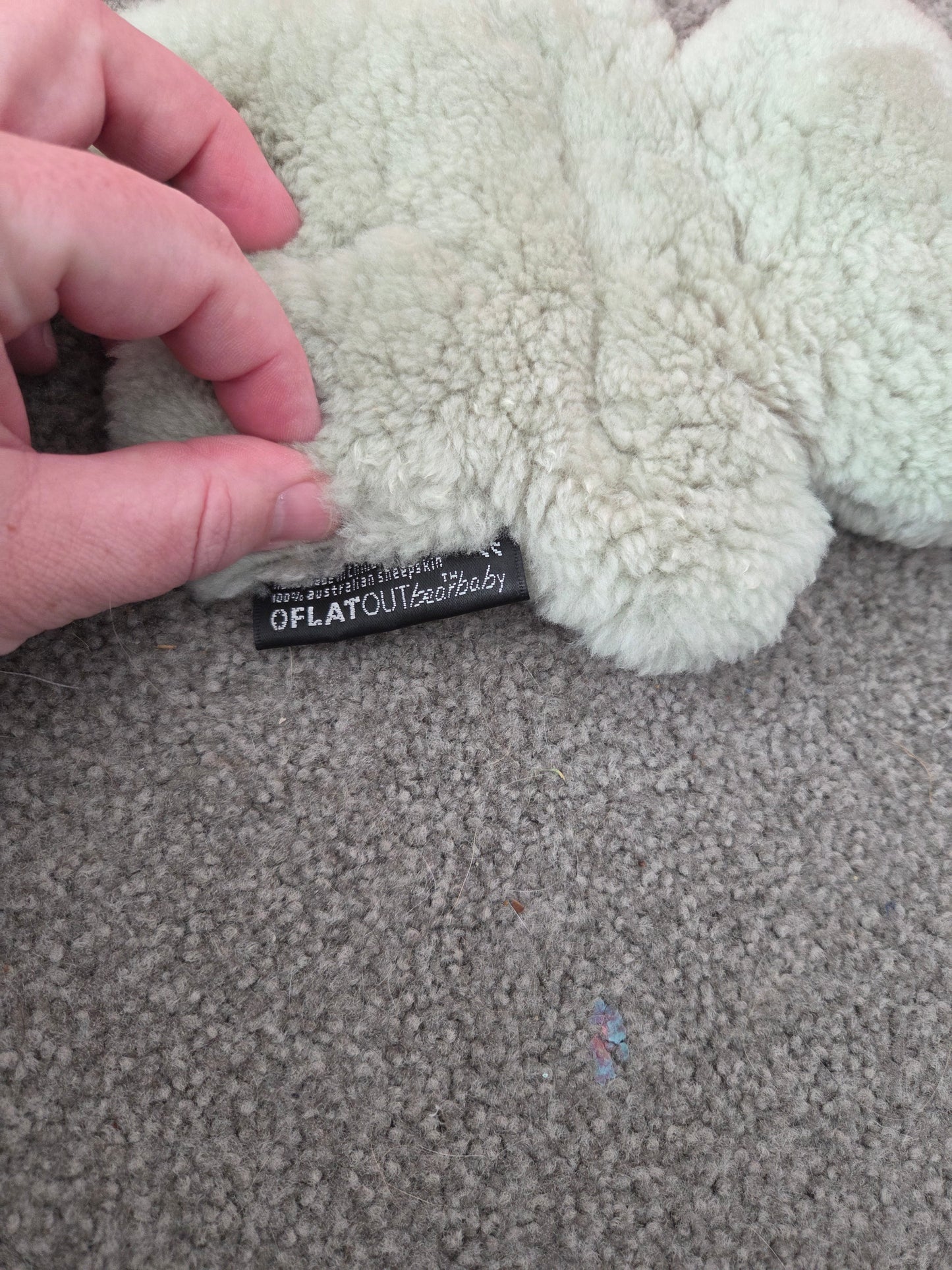 Flat out teddy