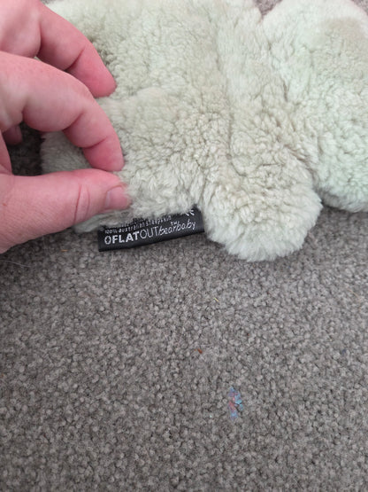 Flat out teddy