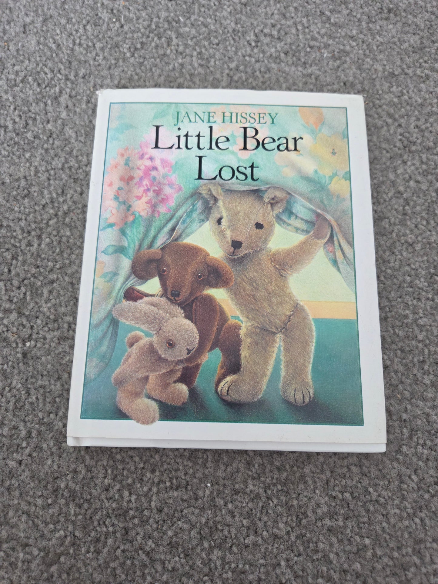 Little bear lost