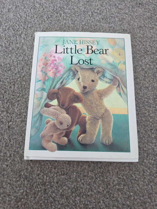 Little bear lost