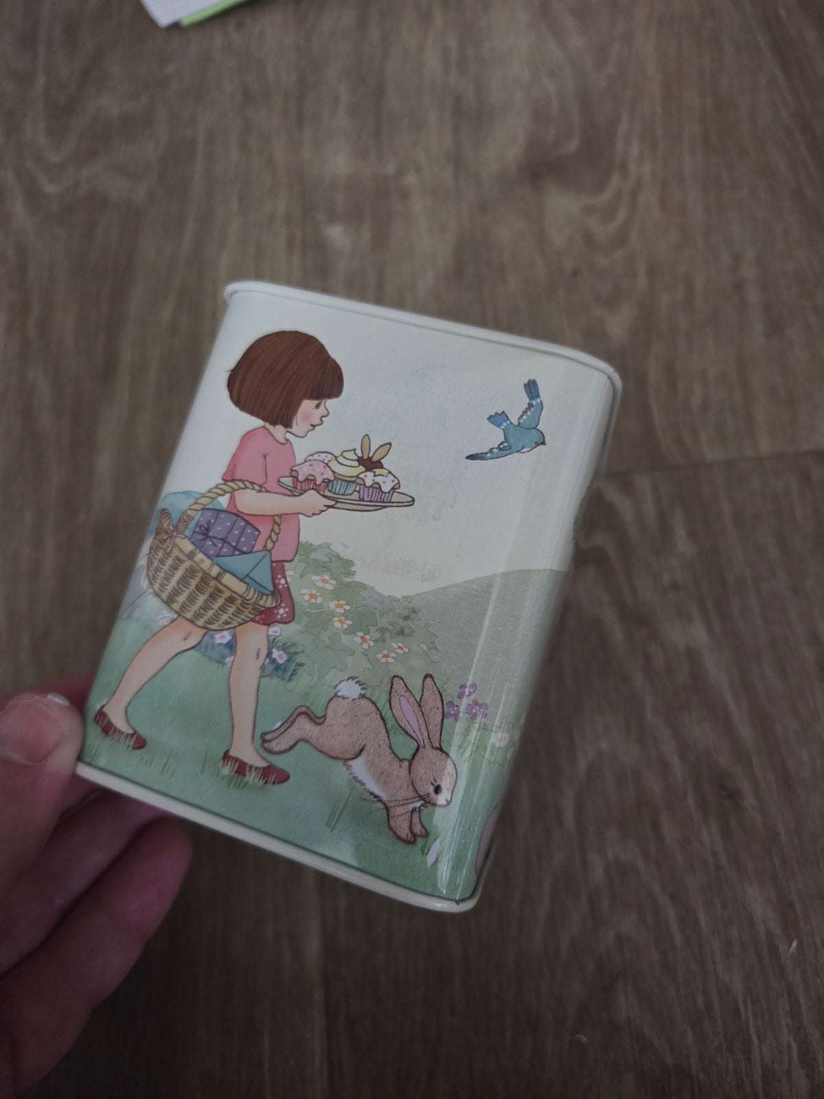 Belle and boo money tin