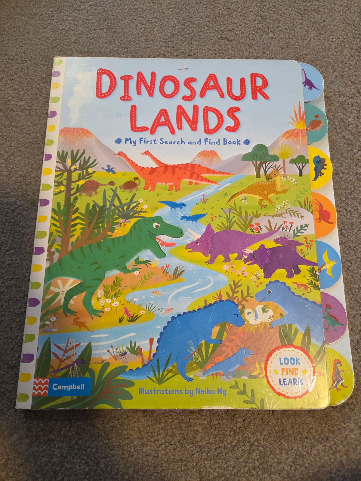 Dinosaur search and find