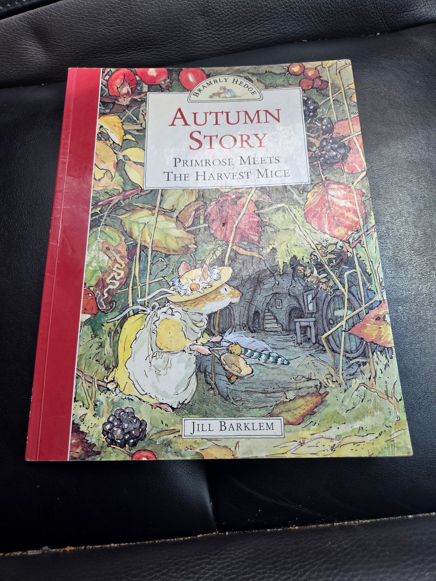 Brambly Hedge- Autumn Story