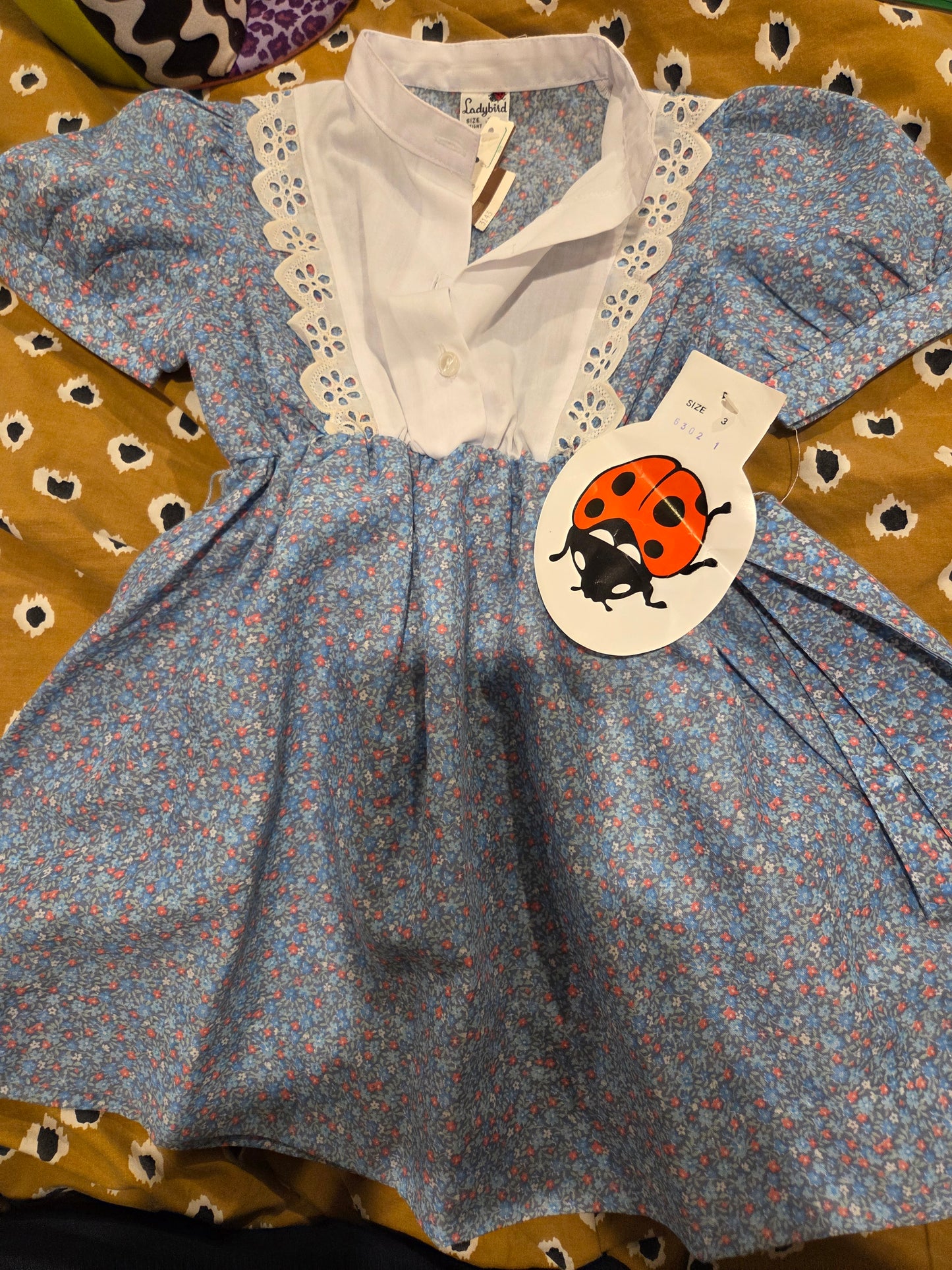 Vintage ladybird dress