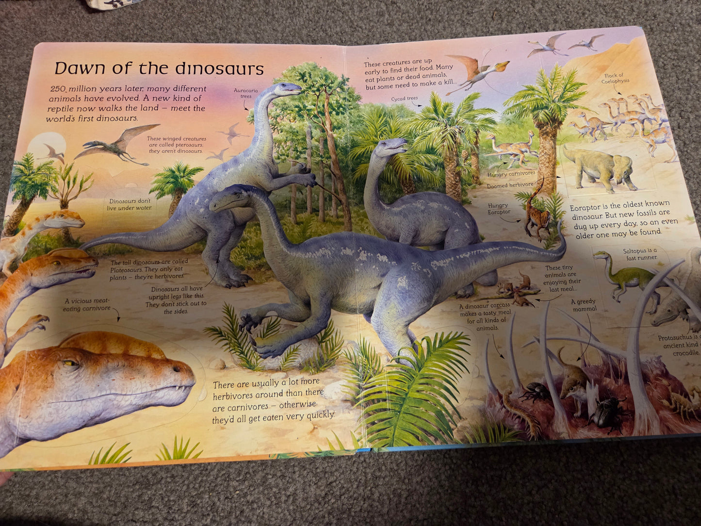 See inside dinosaurs
